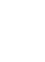 R300 1800cc  160 bhp engine

6 speed gearbox

Limited slip diff

525 kg weight

AP race brakes front

Wide track front suspension

Roll cage

Slick / semi  slick tyres 
